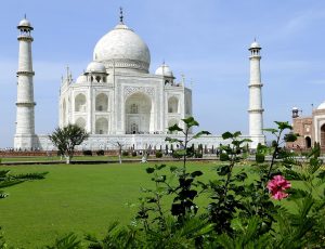 Top 10 Betting Sites in Uttar Pradesh: Tested & Ranked for Indian Players (2026)